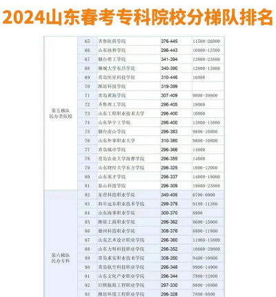 2024山东高考录取专业排名 2024山东高考录取专业排名