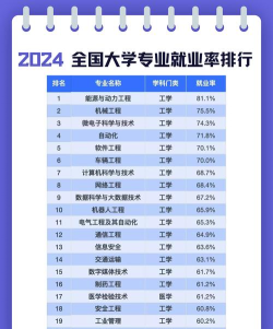 2024年211学校专业就业排名 2024年211学校专业就业排名