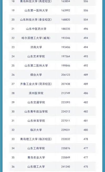 2024年山东高考录取专业排名表 2024年山东高考录取专业排名表