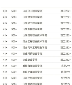 2024年山东三年制专业排名学校 2024年山东三年制专业排名学校