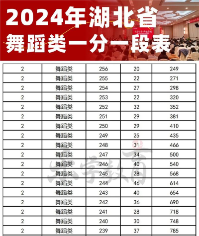 2024舞蹈专业得分排名 2024舞蹈专业得分排名