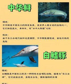 2025年保护动物最好的专业排名 2025年保护动物最好的专业排名