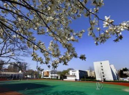 2025年青岛卫生专业排名学校 2025年青岛卫生专业排名学校