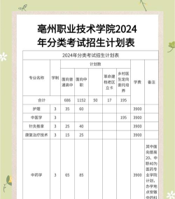 2024年亳州学院招录专业排名 2024年亳州学院招录专业排名