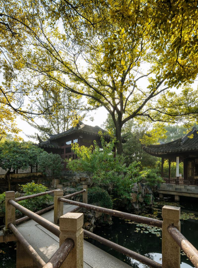 2024林学专业世界排名 2024林学专业世界排名