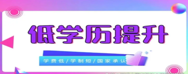 2024潍坊教育专业排名大学 2024潍坊教育专业排名大学