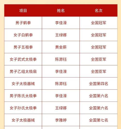 2025年国内武术专业排名 2025年国内武术专业排名