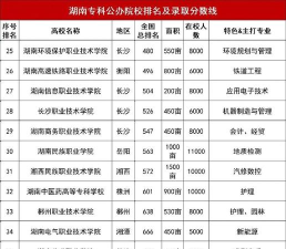 2024年湖南高职模具专业排名 2024年湖南高职模具专业排名