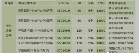 2024郑州艺术专业院校排名 2024郑州艺术专业院校排名