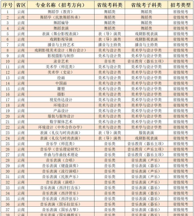 2024云南省艺术专业排名 2024云南省艺术专业排名