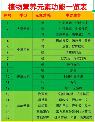 2025年世界植物营养专业排名 2025年世界植物营养专业排名