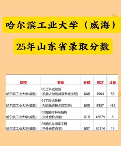 哈工大威海学院专业排名 哈工大威海学院专业排名