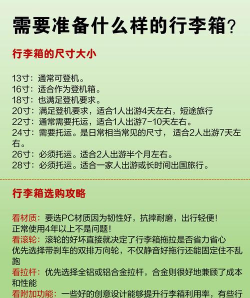 2025年全球旅游相关专业排名 2025年全球旅游相关专业排名