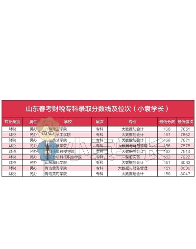 2025年山东高职财会专业排名 2025年山东高职财会专业排名