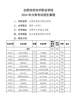 2024年合肥信息技术专业排名榜 2024年合肥信息技术专业排名榜