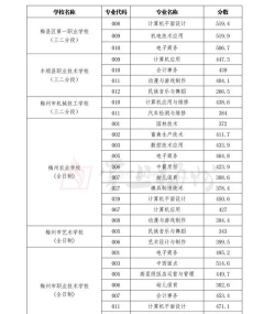 梅州梅县区第一职业学校2024年分数线 梅州梅县区第一职业学校2024年分数线