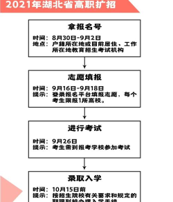 自主招生如何报名 自主招生如何报名