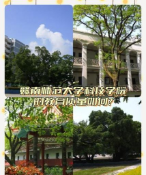 辽宁科技大学与赣南师范大学哪个好