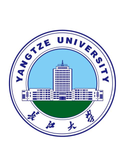 长江大学是什么级别