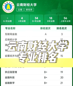 云南财经大学学校排名