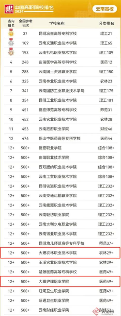 大理职高有哪几所