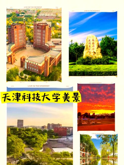 滨海新区大学都有哪些
