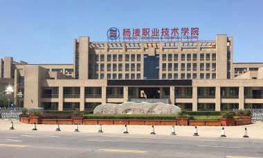 杨凌职业技术学院有学前教育专业吗