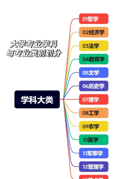 大学的专业和系有什么区别