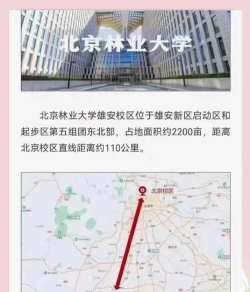 北京将来大概有几所大学建设雄安校区