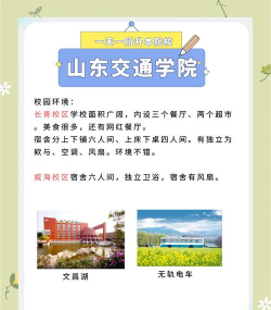 山东交通学院和临沂大学哪个考研率高