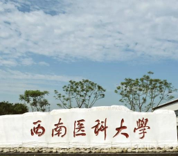 泸州医学院是几本