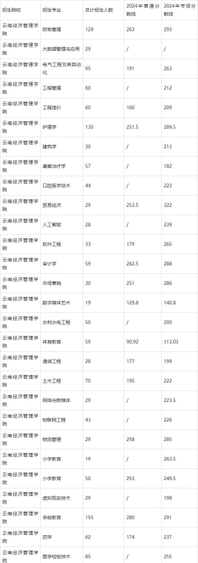 2024年云南经济管理学院录取分数线：最低151分