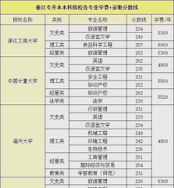 武汉信息传播职业技术学院2024年在浙江录取分数线：最低358分