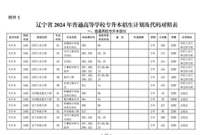 2024年辽东学院在河南计划招生人数