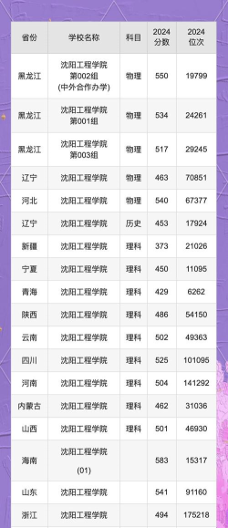 2024年沈阳工程学院在新疆计划招生人数