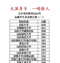 金融学专业2024年在山东招生院校及专业录取分数线