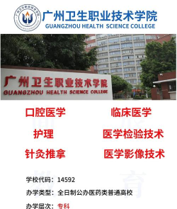 广东开设针灸推拿学专业的大学排名