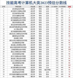 湖北开设电子与计算机工程专业的大学排名