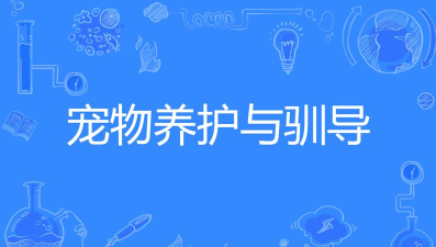 上海哪些专科有宠物养护与驯导专业