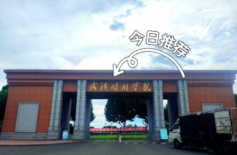 龙岩学院VS武汉晴川学院哪个实力更强