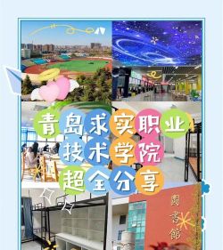 青岛求实职业技术学院是公办还是民办院校?