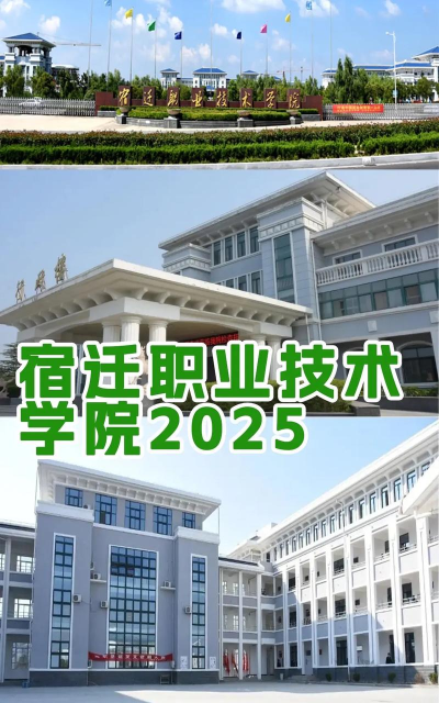 宿迁职业技术学院是公办大学吗