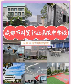 成都财贸有什么专业