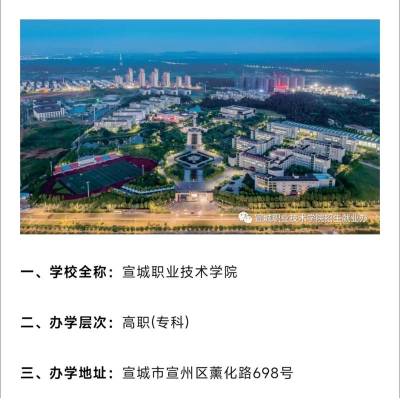 宣城职业技术学院是公办还是民办院校?