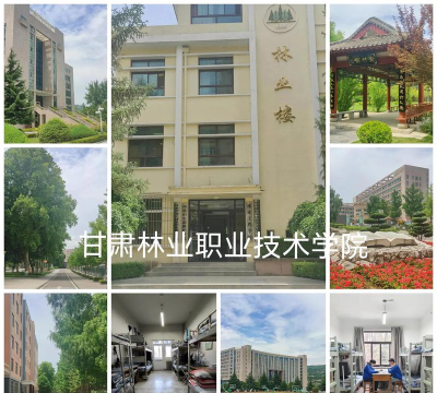 甘肃林业职业技术学院是公办大学吗