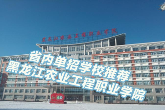 黑龙江农业工程职业学院是公办还是民办院校?