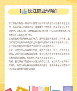 长江职业学院是公办还是民办院校?