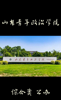 山东青年政治学院是民办本科吗