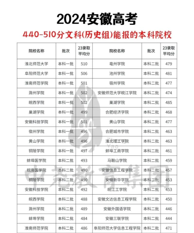 2024年安徽文科448分能报的大学有哪些