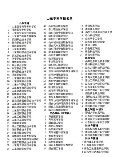 山东大学是民办专科吗